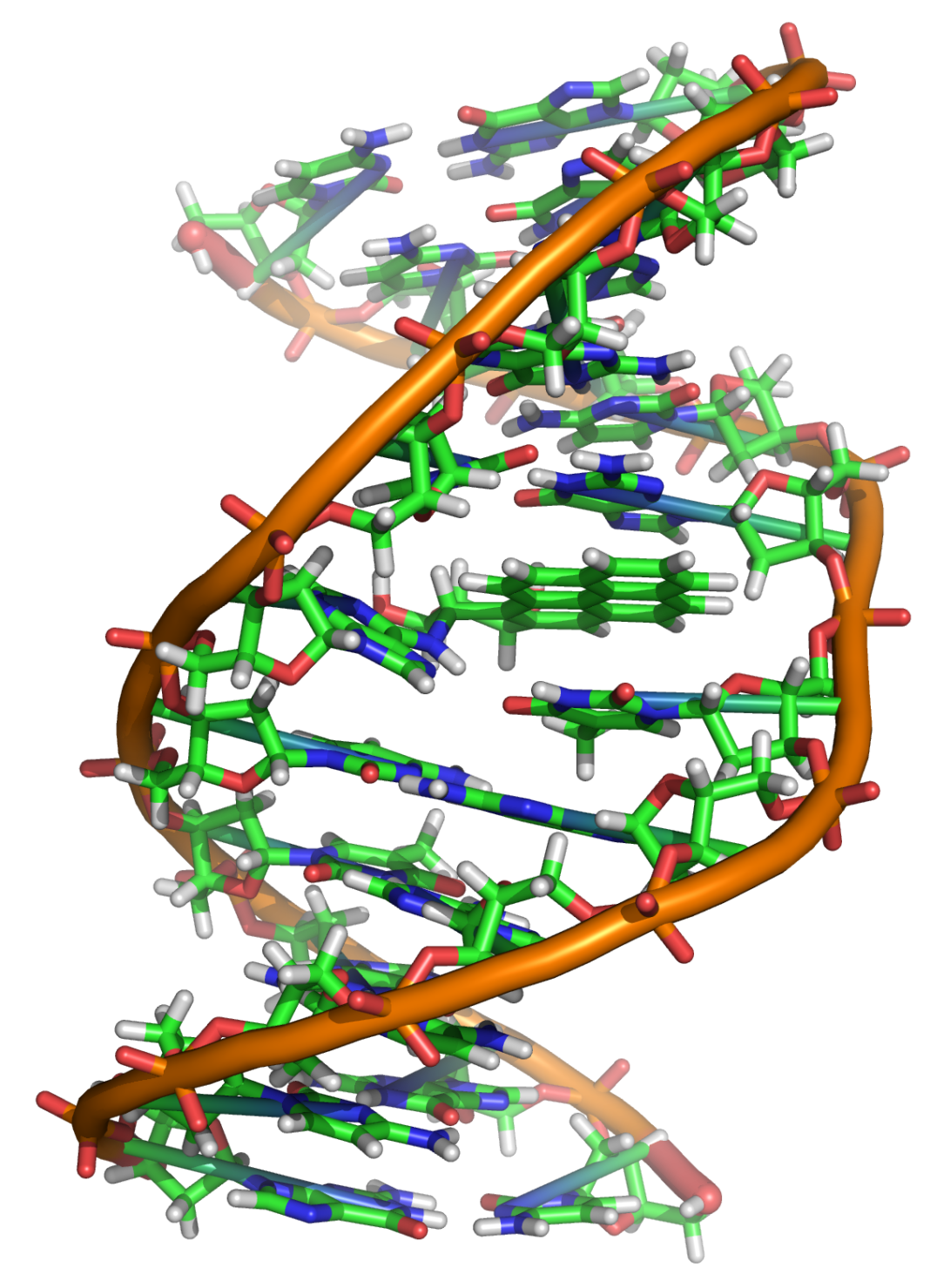 What Is A Rare Genetic Disorder